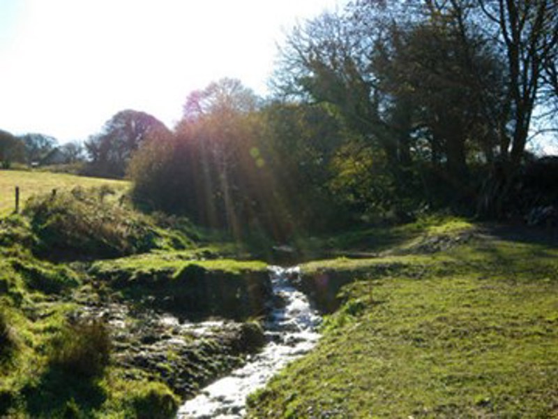 Gallery Image for Treial