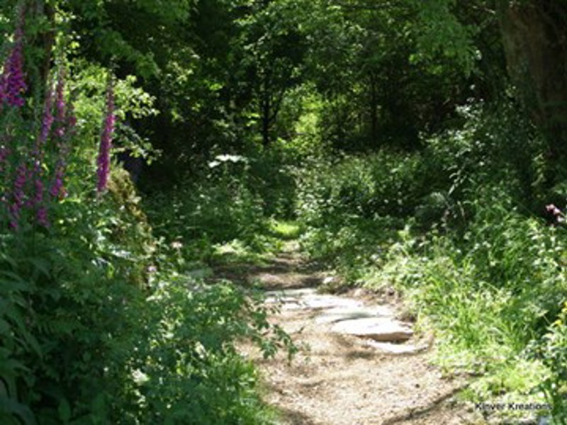 Gallery Image for Treial