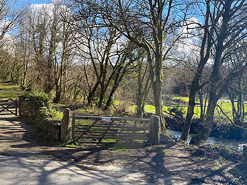 Gallery Image for Court Lodge