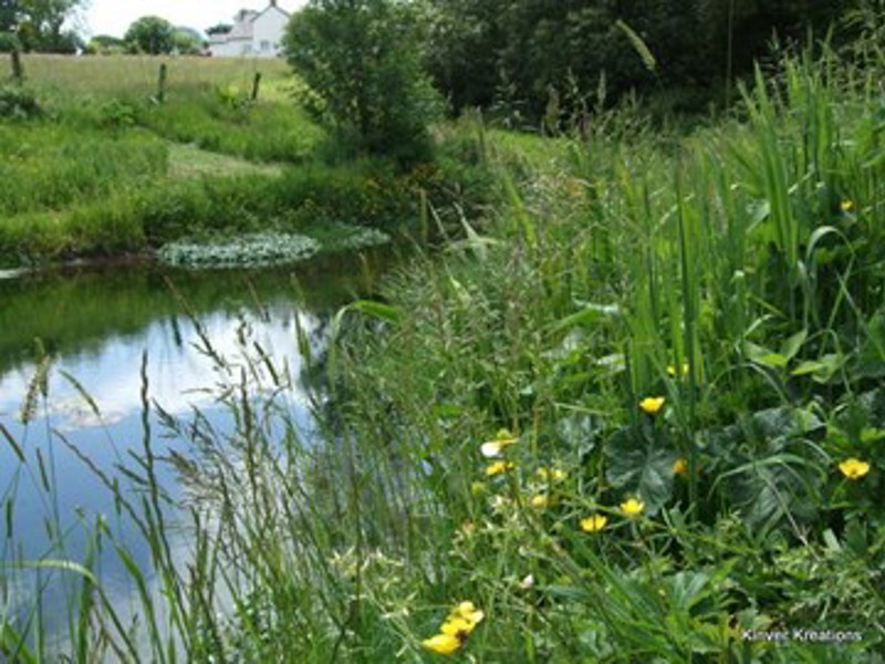 Gallery Image for Treial